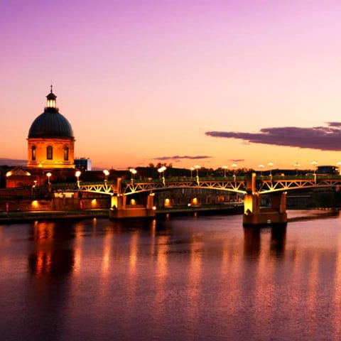 Toul Immo Réalisation : toulouse-centre, diagnostic pour appartement, fonsorbes